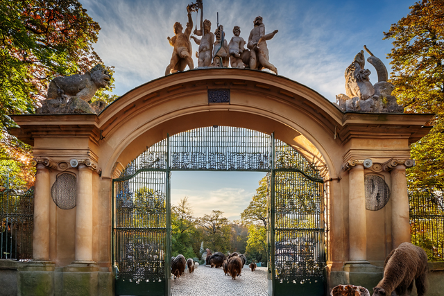zoo